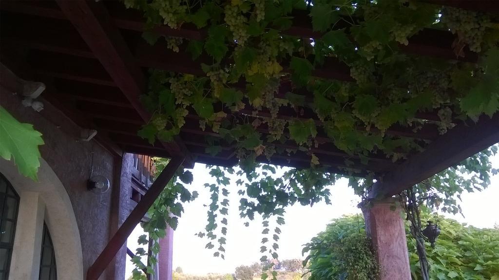 Bed And Breakfast Posserle Padenghe sul Garda Exterior photo